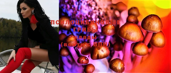 прущие грибы Абдулино