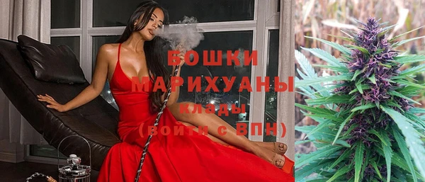 прущие грибы Абдулино