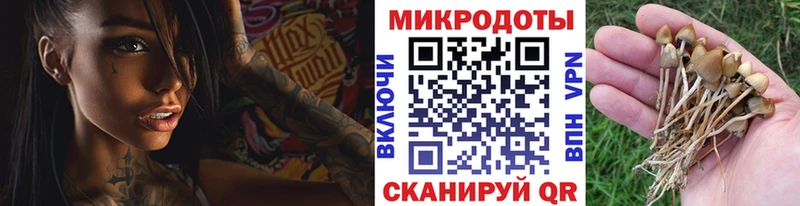 Псилоцибиновые грибы мицелий  закладки  Усть-Кут 